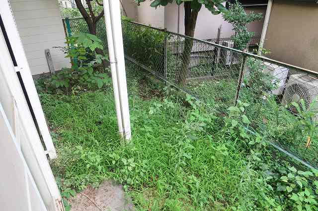 お庭です