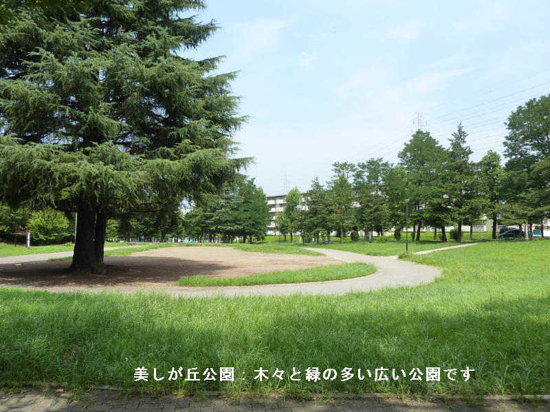 近くの公園です