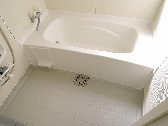 拡大してご覧になれます