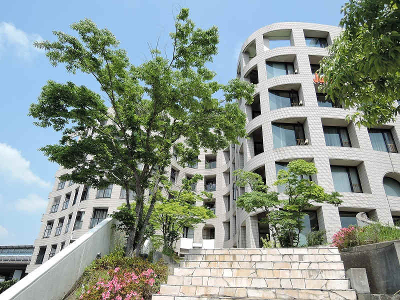 7036画像