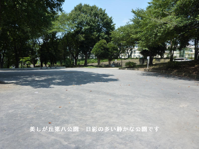 近くの公園です