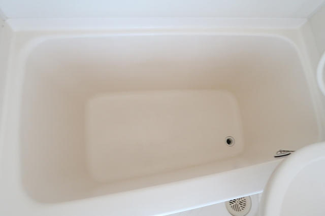 拡大してご覧になれます