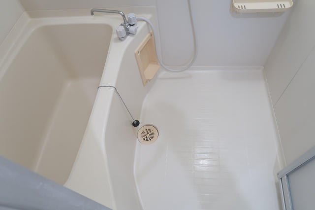 拡大してご覧になれます