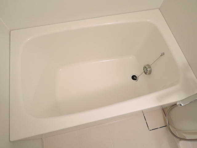 湯舟です