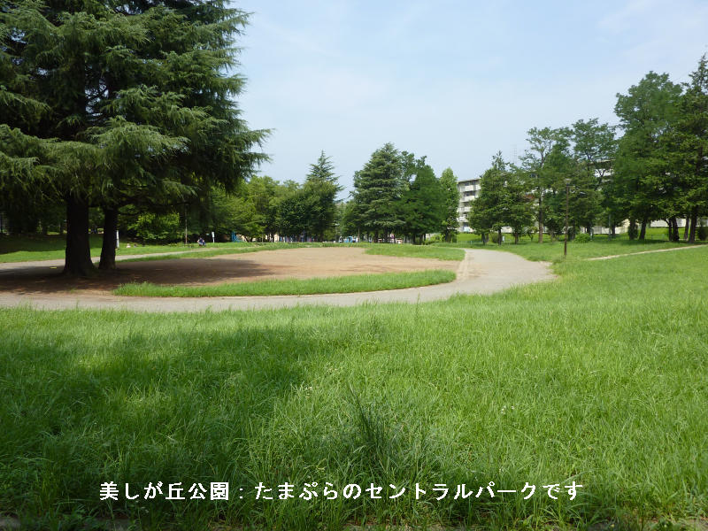 近くの公園です