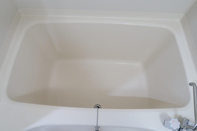 拡大してご覧になれます