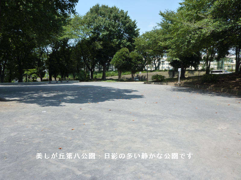 近くの公園です