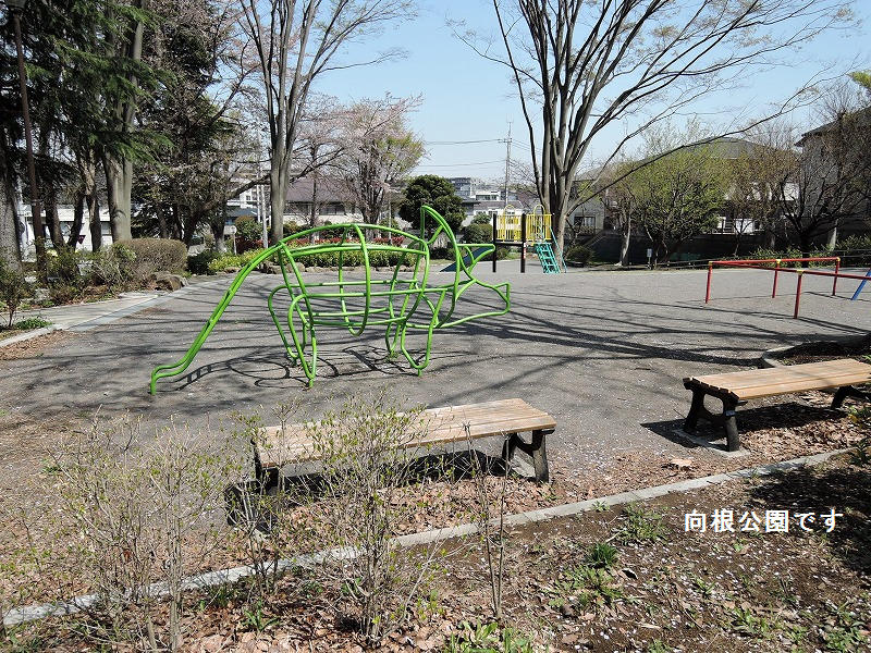近くの公園です