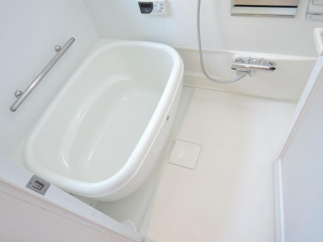 拡大してご覧になれます