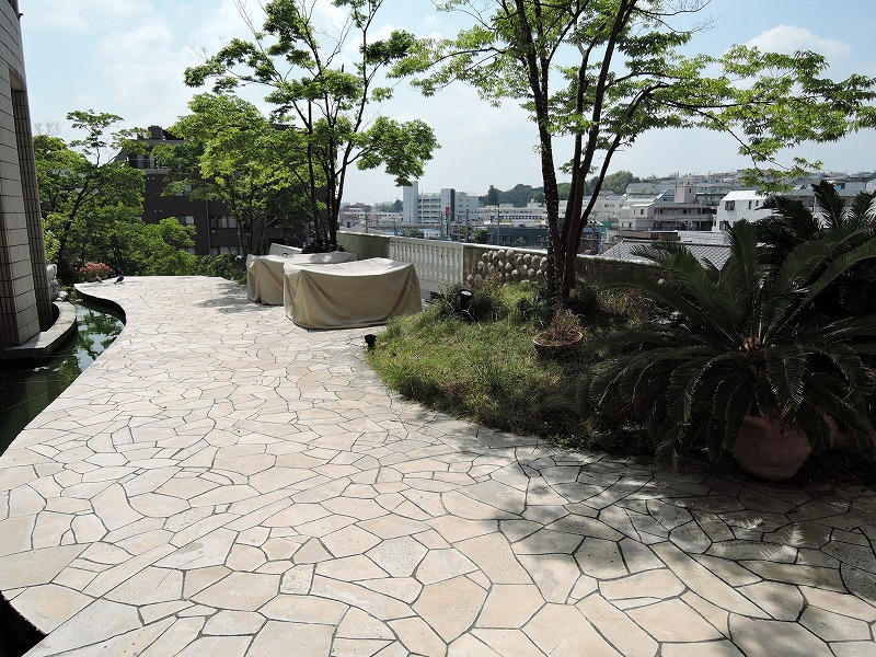 拡大してご覧になれます