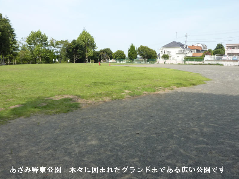 近くの公園です