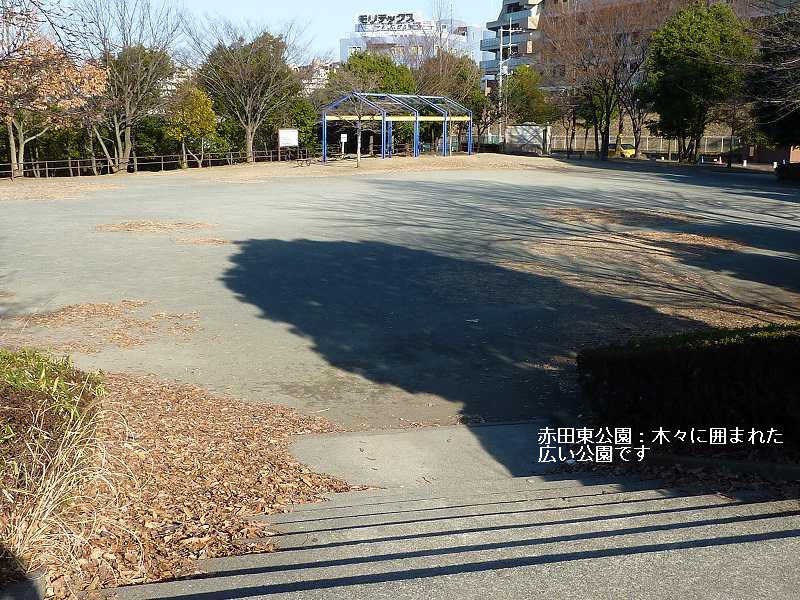 近くの公園です