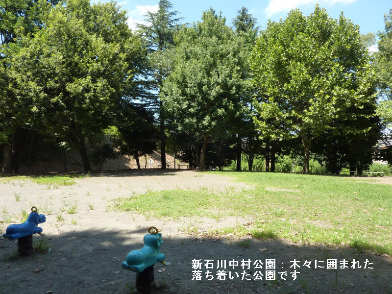 近くの公園です