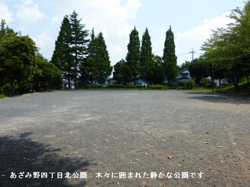 近くの公園です
