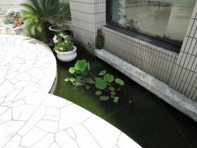 拡大してご覧になれます