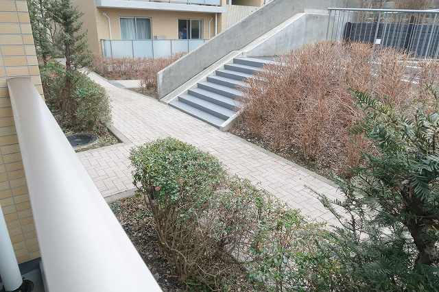 西側敷地内の景色です