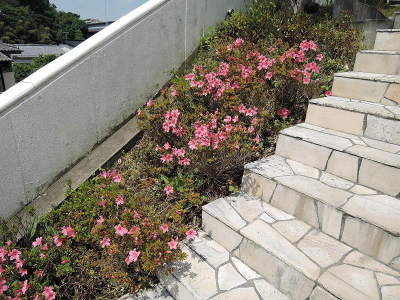 拡大してご覧になれます